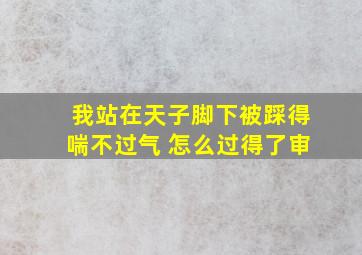 我站在天子脚下被踩得喘不过气 怎么过得了审